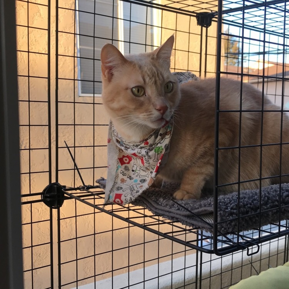 Meet your Posher, Lena